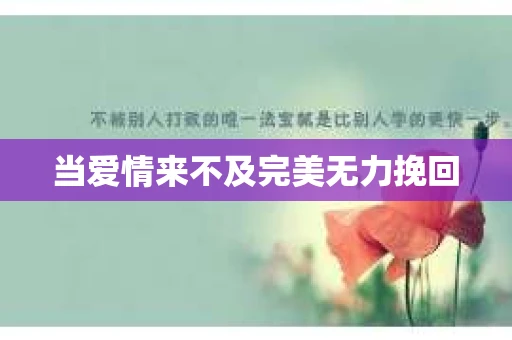 当爱情来不及完美无力挽回