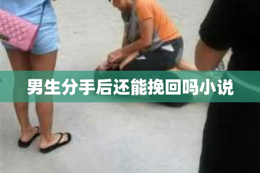 男生分手后还能挽回吗小说