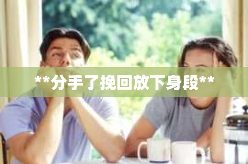 **分手了挽回放下身段**