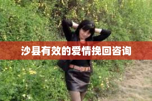 沙县有效的爱情挽回咨询