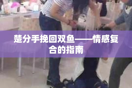 楚分手挽回双鱼——情感复合的指南