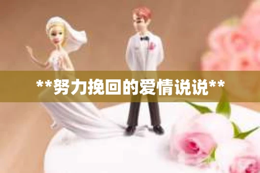 **努力挽回的爱情说说**