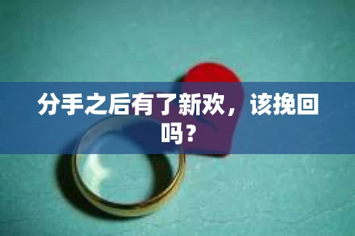 分手之后有了新欢，该挽回吗？
