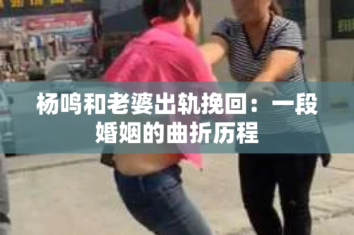 杨鸣和老婆出轨挽回：一段婚姻的曲折历程