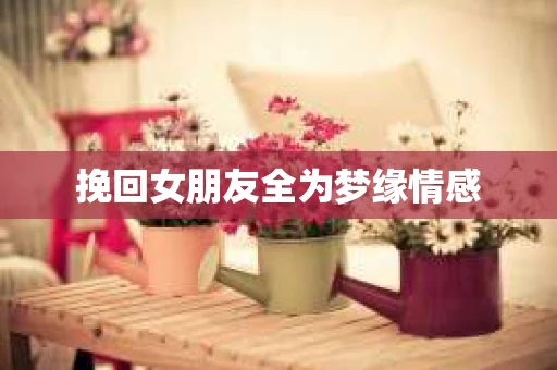 挽回女朋友全为梦缘情感