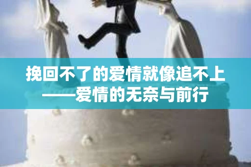 挽回不了的爱情就像追不上——爱情的无奈与前行