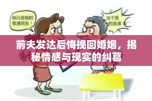 前夫发达后悔挽回婚姻，揭秘情感与现实的纠葛