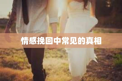 情感挽回中常见的真相