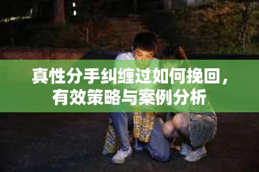 真性分手纠缠过如何挽回，有效策略与案例分析