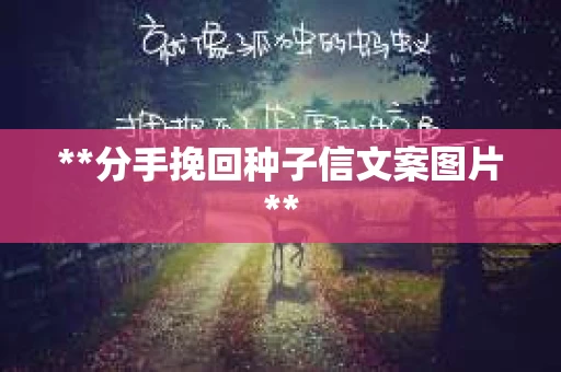 **分手挽回种子信文案图片**