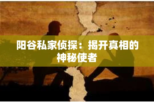 阳谷私家侦探：揭开真相的神秘使者