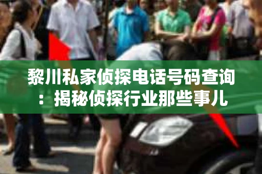 黎川私家侦探电话号码查询：揭秘侦探行业那些事儿