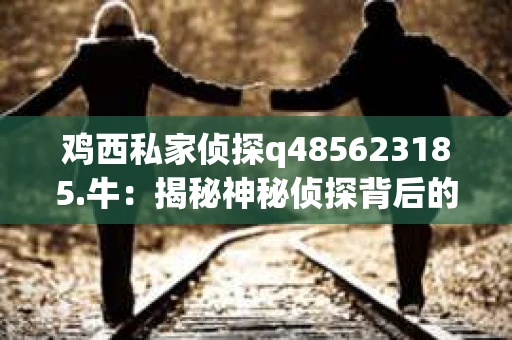 鸡西私家侦探q485623185.牛：揭秘神秘侦探背后的故事