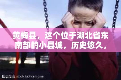 黄梅县，这个位于湖北省东南部的小县城，历史悠久，风景秀丽。但在这个宁静的小县城里，你是否会好奇，有没有私家侦探的存在呢？今天，我就来和大家聊聊这个话题。
