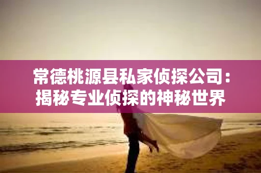 常德桃源县私家侦探公司：揭秘专业侦探的神秘世界