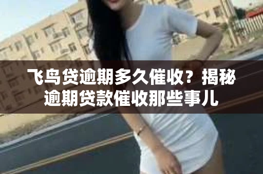 飞鸟贷逾期多久催收？揭秘逾期贷款催收那些事儿