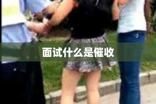 面试什么是催收
