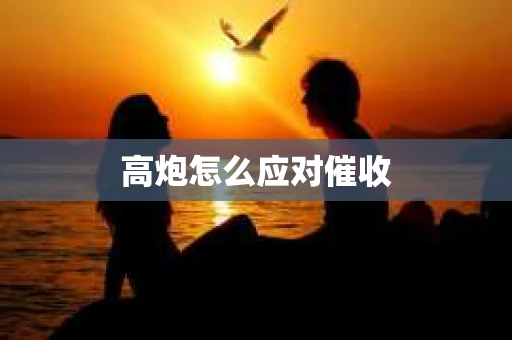 高炮怎么应对催收