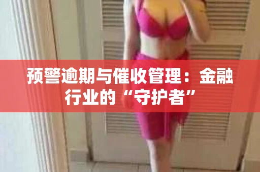 预警逾期与催收管理：金融行业的“守护者”