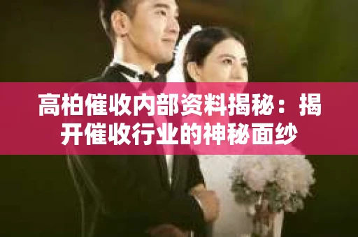 高柏催收内部资料揭秘：揭开催收行业的神秘面纱