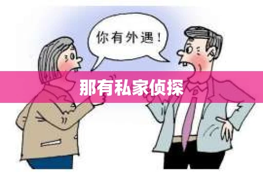 那有私家侦探