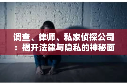 调查、律师、私家侦探公司：揭开法律与隐私的神秘面纱