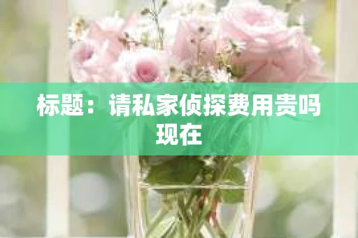 标题：请私家侦探费用贵吗现在