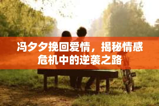 冯夕夕挽回爱情，揭秘情感危机中的逆袭之路