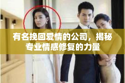 有名挽回爱情的公司，揭秘专业情感修复的力量