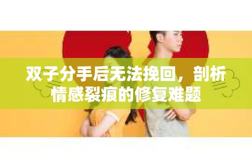 双子分手后无法挽回，剖析情感裂痕的修复难题