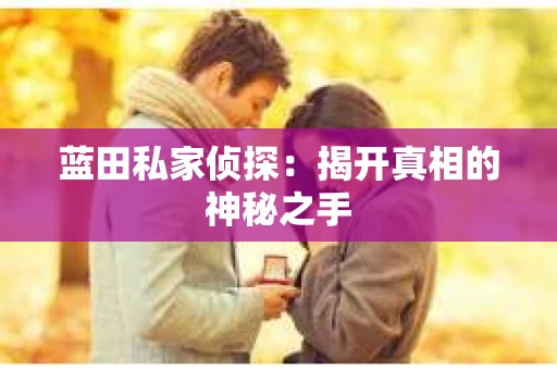 蓝田私家侦探：揭开真相的神秘之手