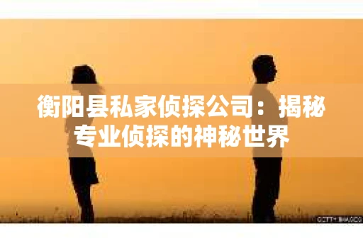 衡阳县私家侦探公司：揭秘专业侦探的神秘世界