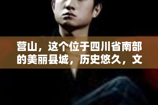 营山，这个位于四川省南部的美丽县城，历史悠久，文化底蕴深厚。近年来，随着社会的发展，人们对于隐私保护和信息安全的意识逐渐增强。那么，问题来了——营山有私家侦探吗？今天，我们就来聊聊这个话题。