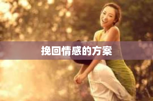 挽回情感的方案 挽回情感的方案