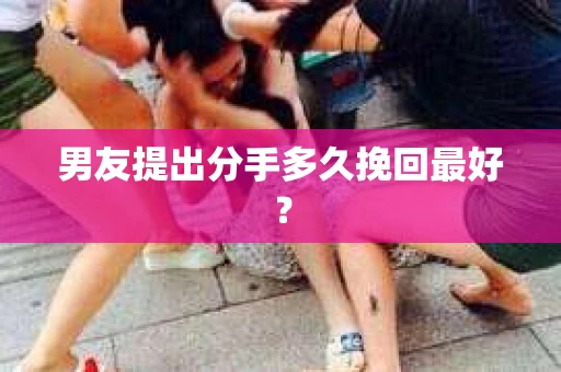 男友提出分手多久挽回最好? 男友提出分手多久挽回最好?